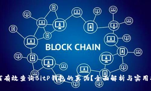 如何有效查询BitP钱包的真伪？全面解析与实用指南