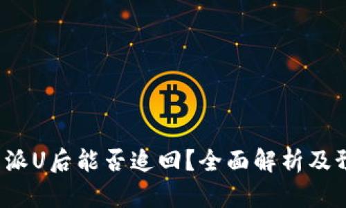 被盗B特派U后能否追回？全面解析及预防措施