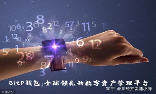 BitP钱包：全球领先的数字资产管理平台