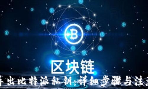 
如何导出比特派私钥：详细步骤与注意事项