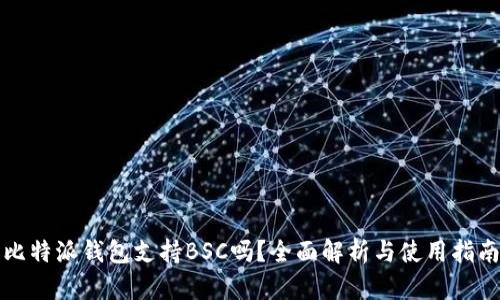 比特派钱包支持BSC吗？全面解析与使用指南