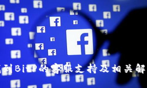 如何找到BitP的客服支持及相关解决方案