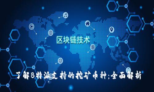 了解B特派支持的挖矿币种：全面解析